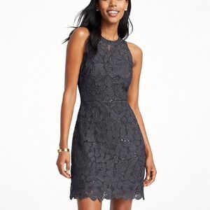 Ann Taylor Charcoal Butterfly Lace Mini Dress Size 4